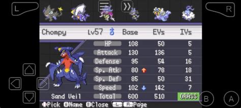 best evs for garchomp.
